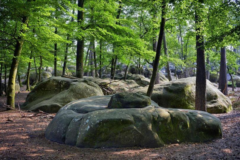 Maison De Charme En Foret De Fontainebleau Recloses 外观 照片